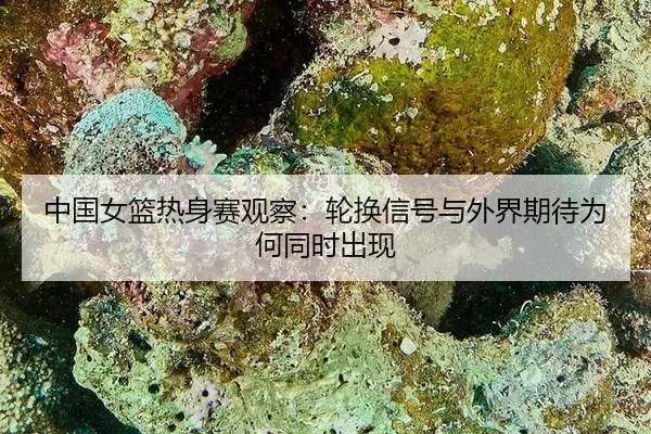 zhong-guo-nv-lan-re-shen-sai-guan-cha-lun-huan-xin-hao-yu-wai-jie-qi-dai-wei-he-tong-shi-chu-xian-2-981.jpg